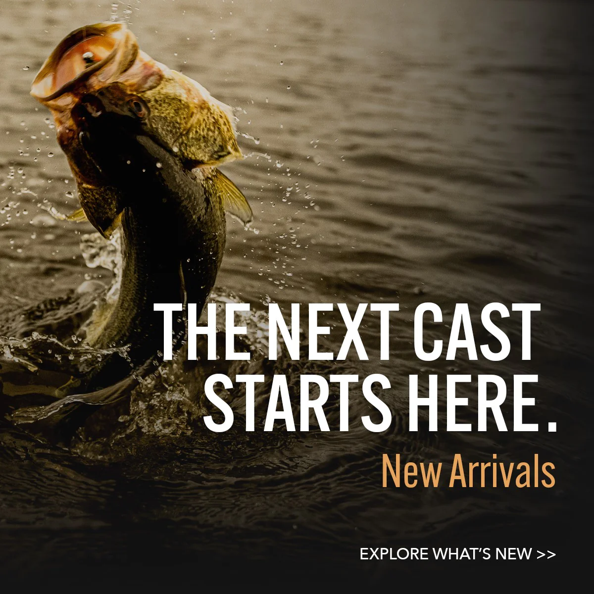 Master Every Cast with Precision